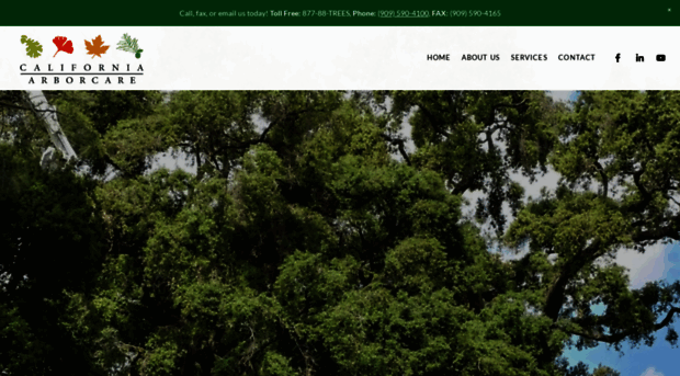 calarbor.com