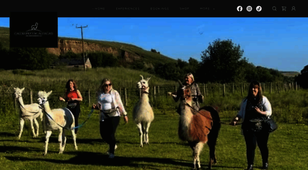 calderbrookalpacas.co.uk