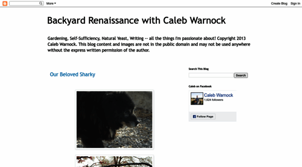 calebwarnock.blogspot.com