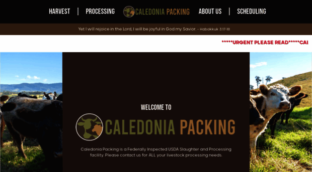 caledoniapacking.com