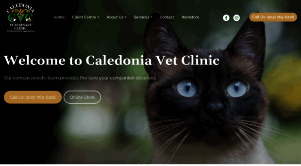 caledoniaveterinaryclinic.ca