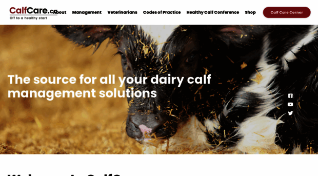 calfcare.ca