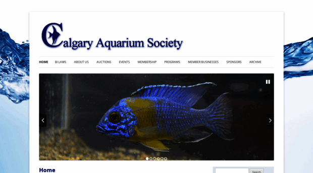 calgaryaquariumsociety.com