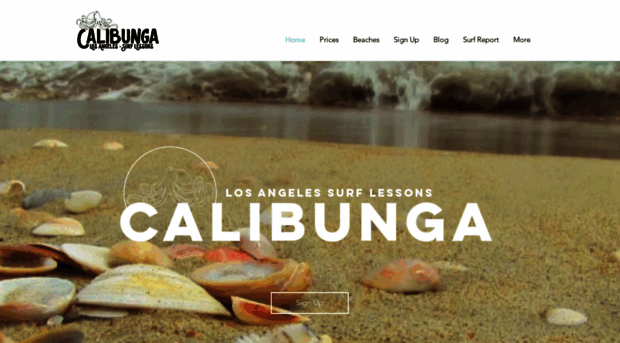 calibungasurflessons.com
