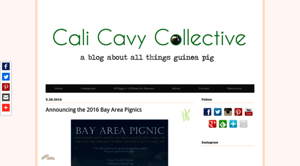 calicavycollective.com