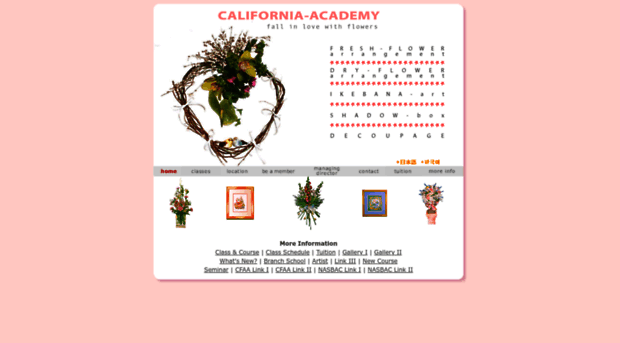 california-academy.com