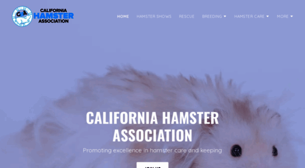 californiahamsterassociation.com