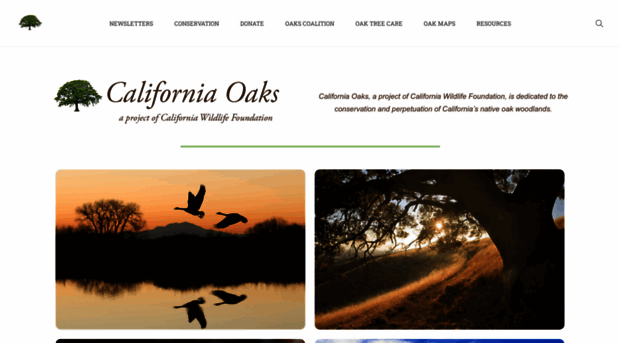 californiaoaks.org