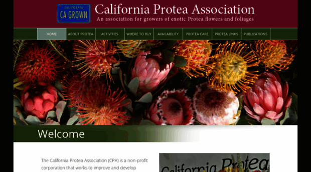 californiaprotea.org