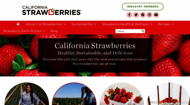 californiastrawberries.com