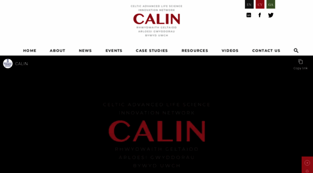 calin.ie