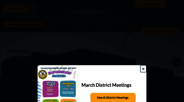 calipatriahornets.org