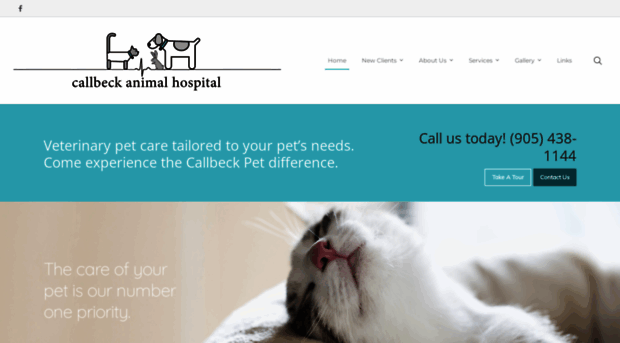 callbeckanimalhospital.com