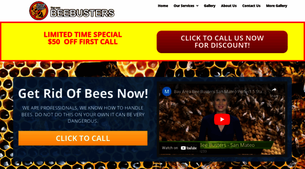 callbeebusters.com