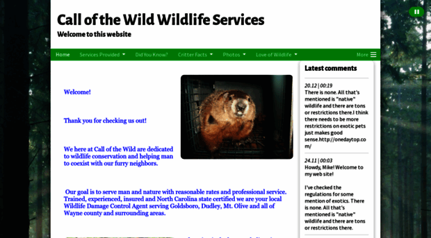 callofthewildwildlifeservices.com