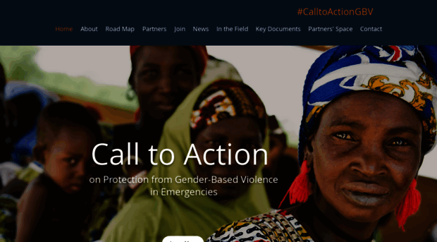 calltoactiongbv.com