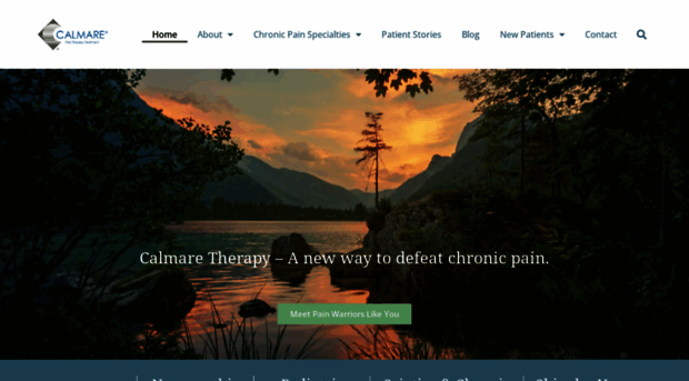 calmaretherapynj.com