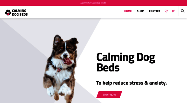 calmingdogbeds.com.au