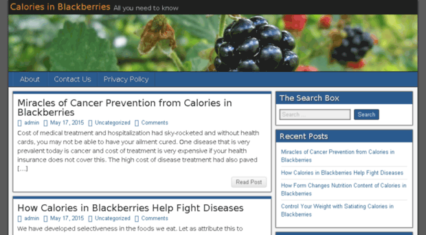 caloriesinblackberries.com