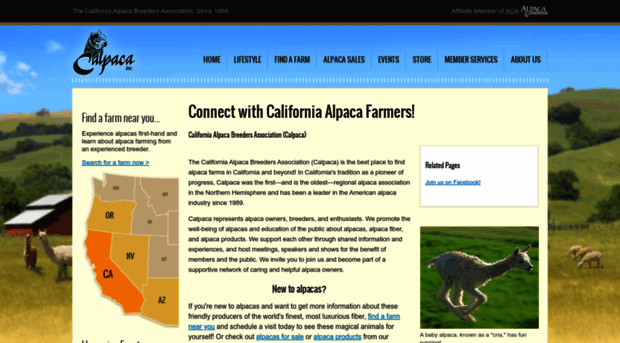 calpaca.org