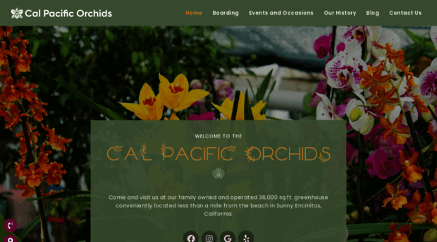 calpacificorchids.com