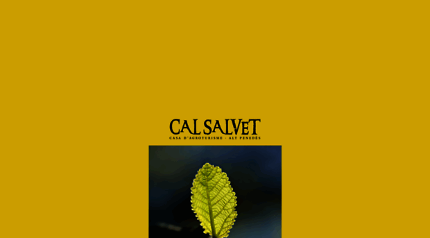 calsalvet.com