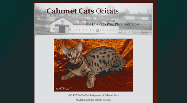 calumetcats.com