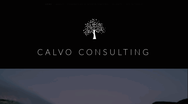 calvoconsulting.com