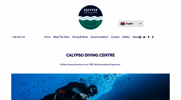 calypsodivers.com