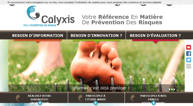 calyxis.fr