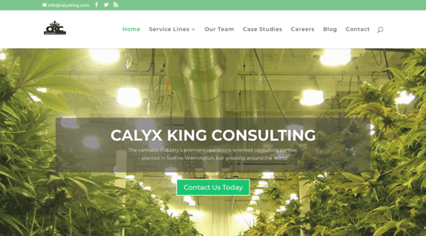 calyxking.com