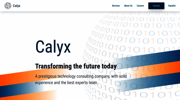 calyxservicios.com.ar