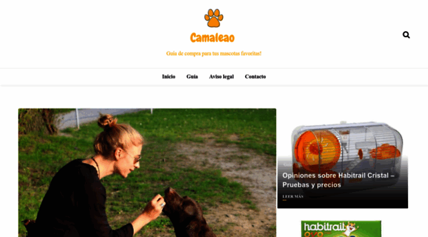 camaleao.org