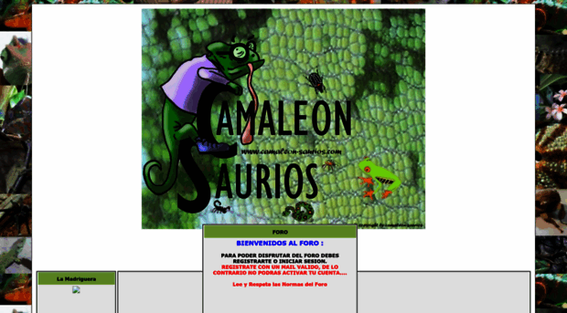 camaleon-saurios.com