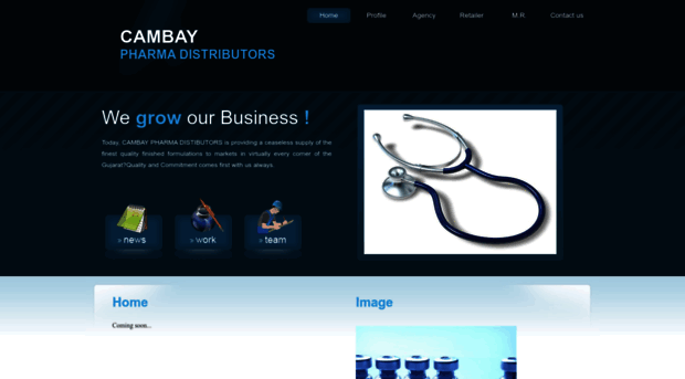 cambaypharma.com