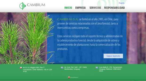 cambiumsa.com