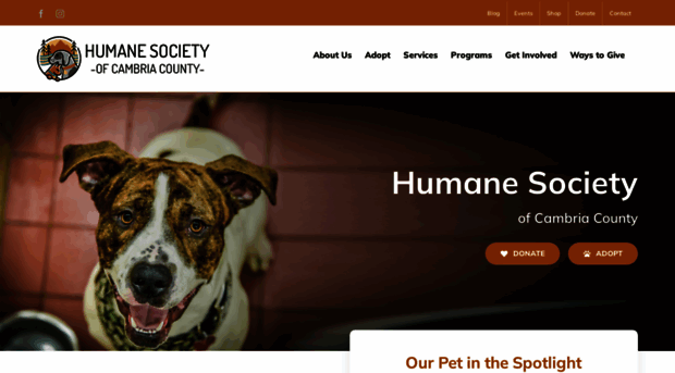 cambriacountyhumanesociety.com