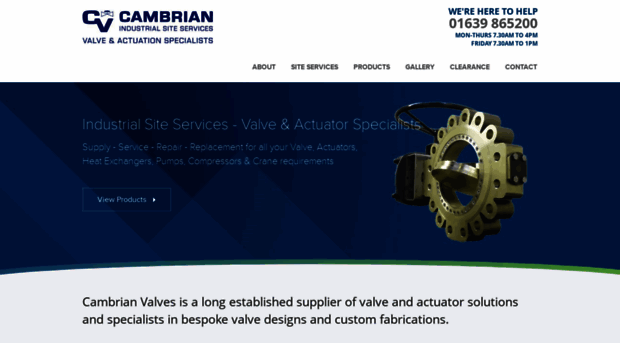 cambrianvalves.co.uk