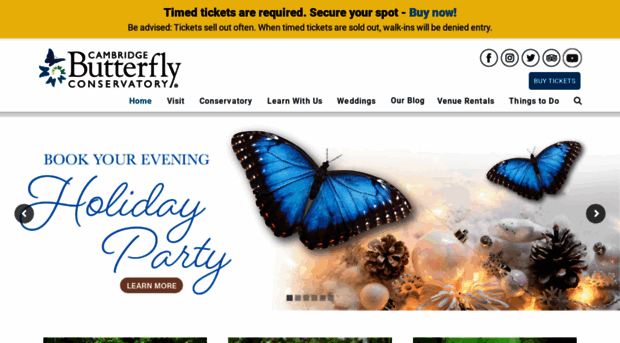 cambridgebutterfly.com