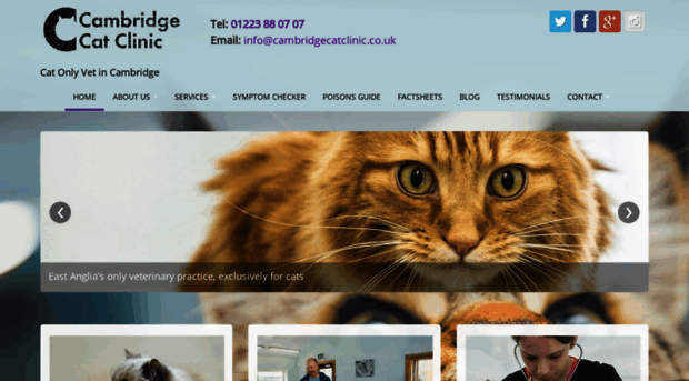 cambridgecatclinic.co.uk