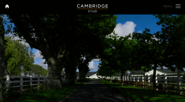 cambridgestud.co.nz