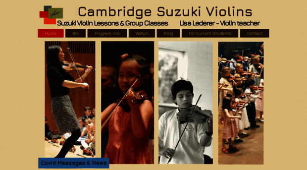 cambridgesuzukiviolins.com