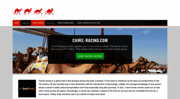 camel-racing.com