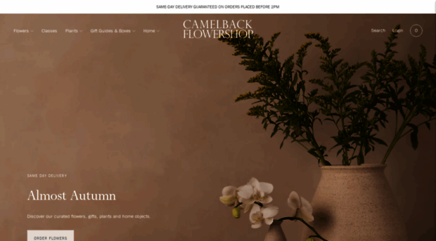 camelbackflowershop.com