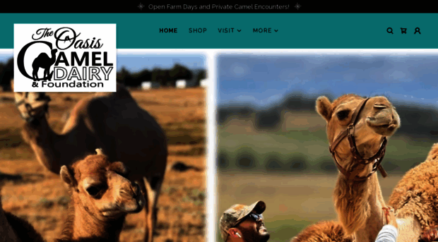 cameldairy.com