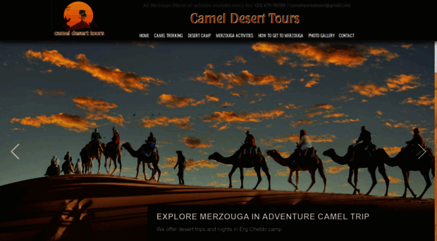 cameldeserttours.com