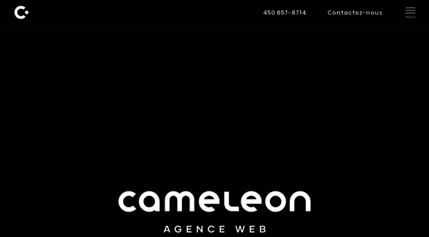 cameleonmedia.com