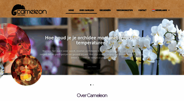 cameleonorchids.com