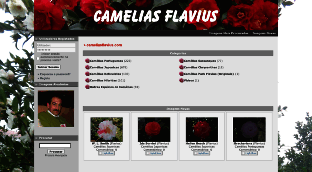cameliasflavius.com