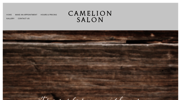 camelionsalon.com